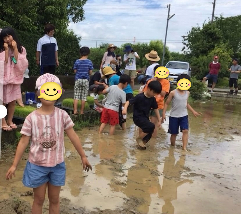 【こどもまんなか祭り・米作り等】 子どものえがおネット の様子