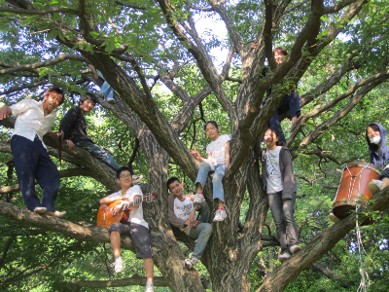 【フリースペースえん】 認定NPO法人フリースペースたまりば の様子