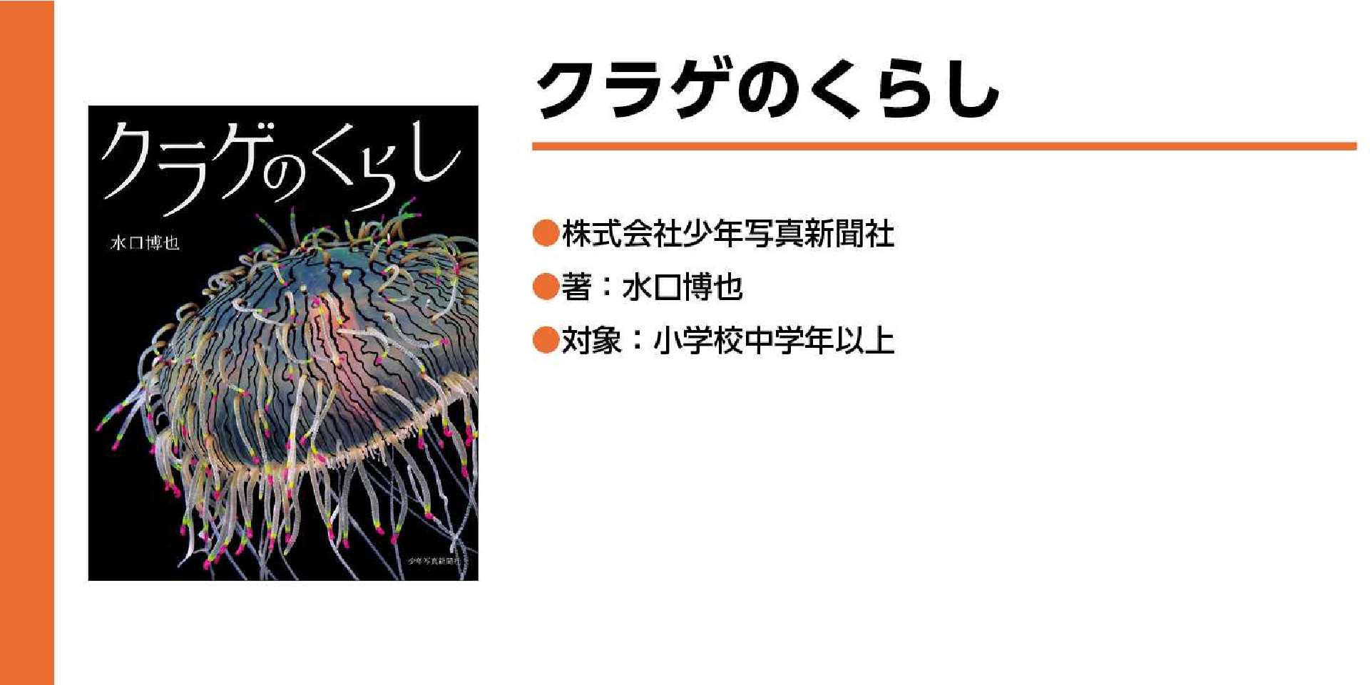 クラゲのくらし