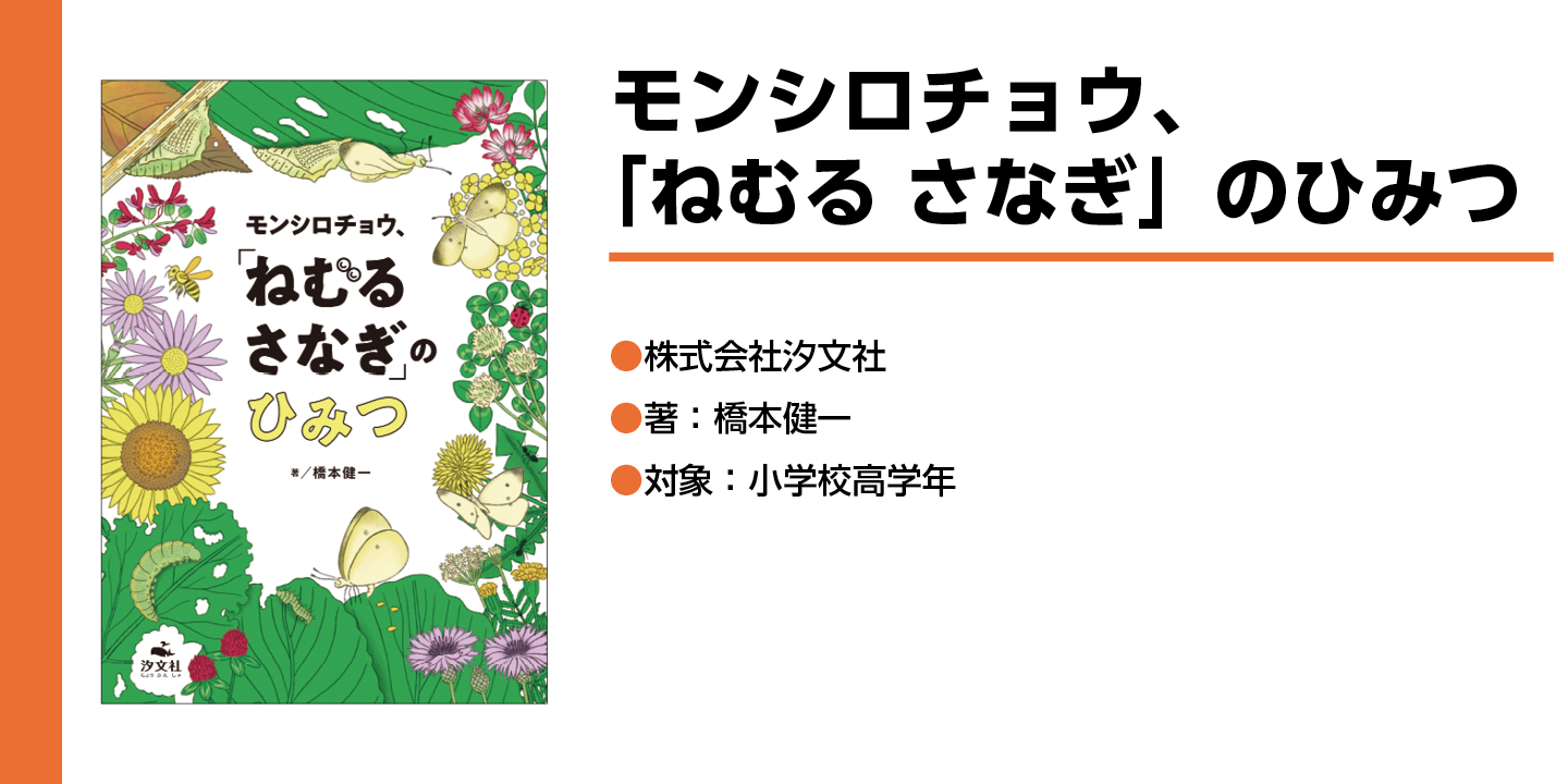 【ねむるさなぎ】角に色々なお花とそこにとまっているモンシロチョウ。と葉っぱ上に幼虫が描かれている絵