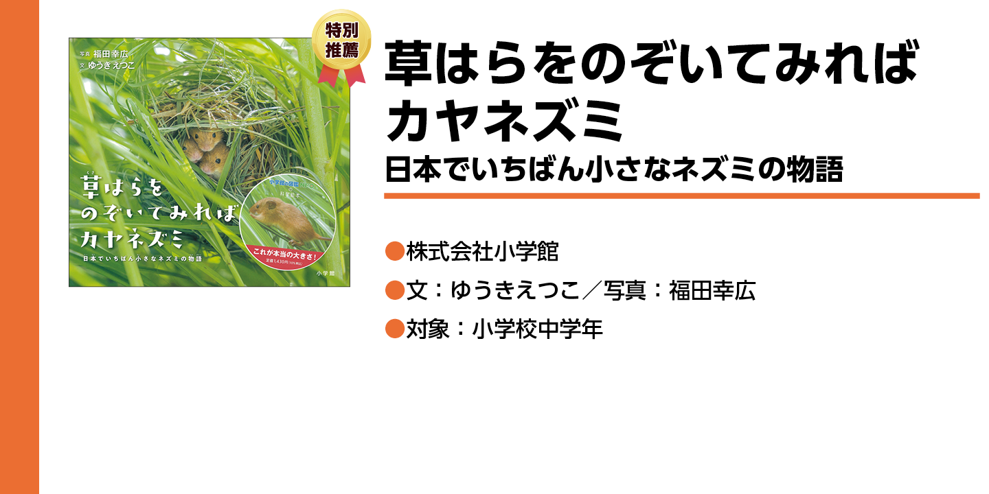 草はらをのぞいてみれば　カヤネズミ　日本でいちばん小さなネズミの物語