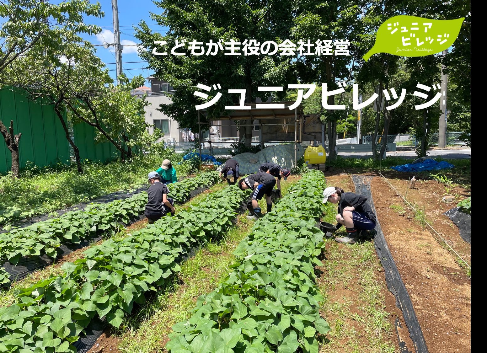 こどもが主役の会者経営　ジュニアビレッジ